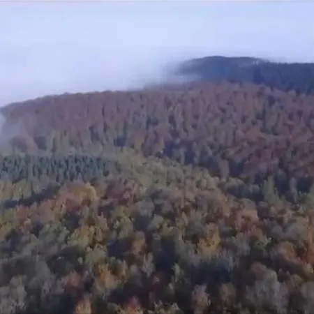 Moes Schloß Holte-Stukenbrock