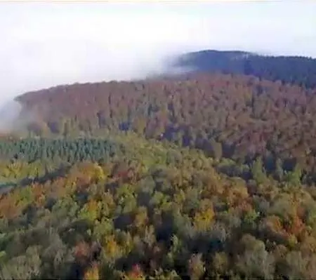 Moes * Schloß Holte-Stukenbrock